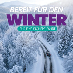 Nuke Guys EisFrei Enteiserspray 1L