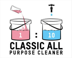 ValetPRO Classic All Purpose Cleaner